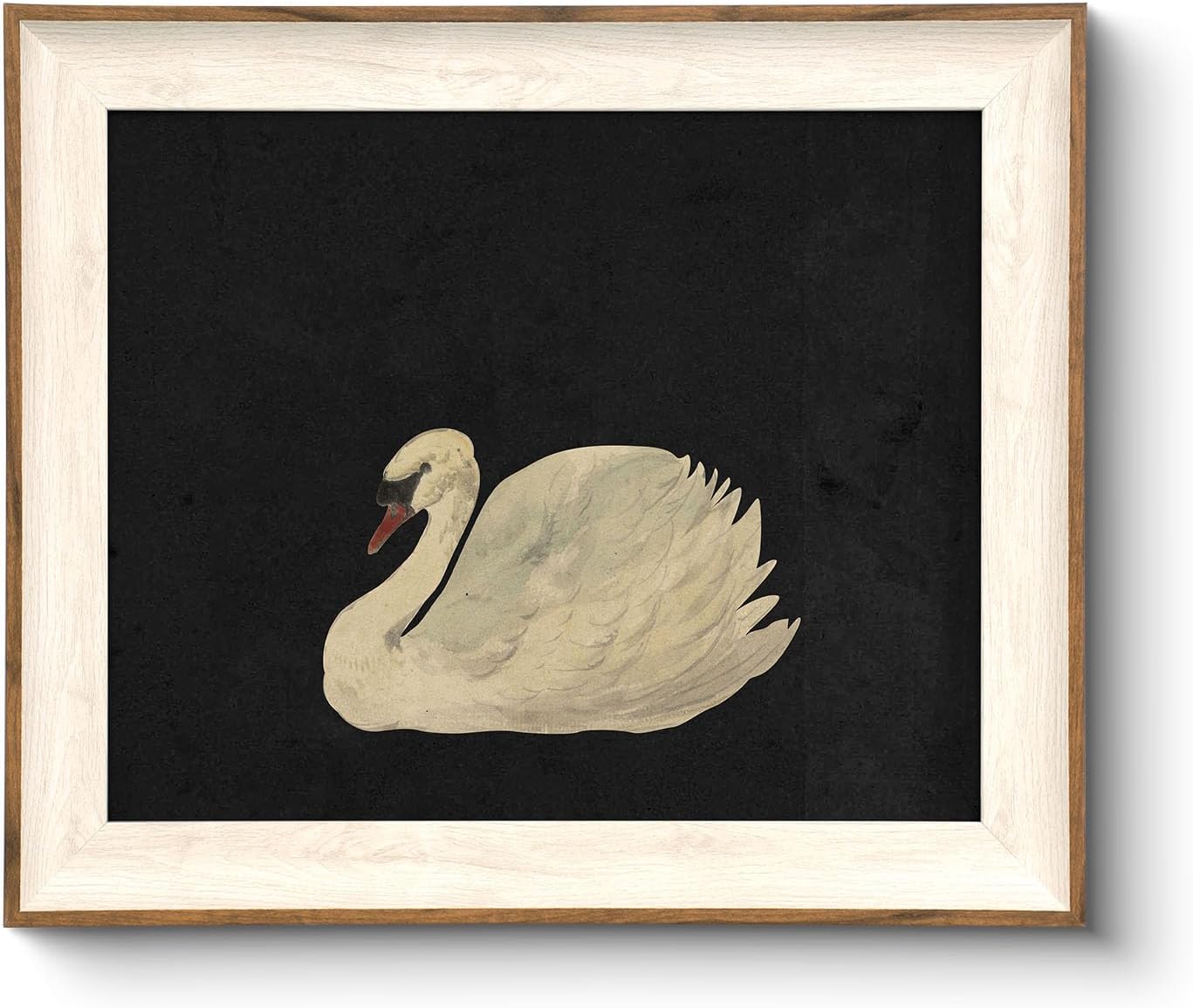 Wall Décor - VIYYIEA Framed Wall Art for Living Room, Swan Art Canvas Prints, Vintage Home Decor, Animal Oil Painting Picture, Bathroom Wall Decor Gifts for Friends or Family -【Zwaan】-(10L x 8W)