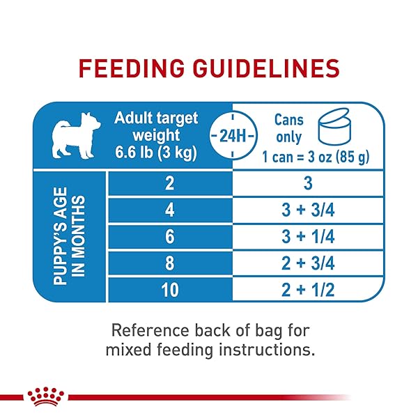 ROYAL CANIN SIZE HEALTH NUTRITION X-SMALL PUPPY THIN SLICES IN GRAVY DOG FOOD, 3 OZ (PACK OF 12)