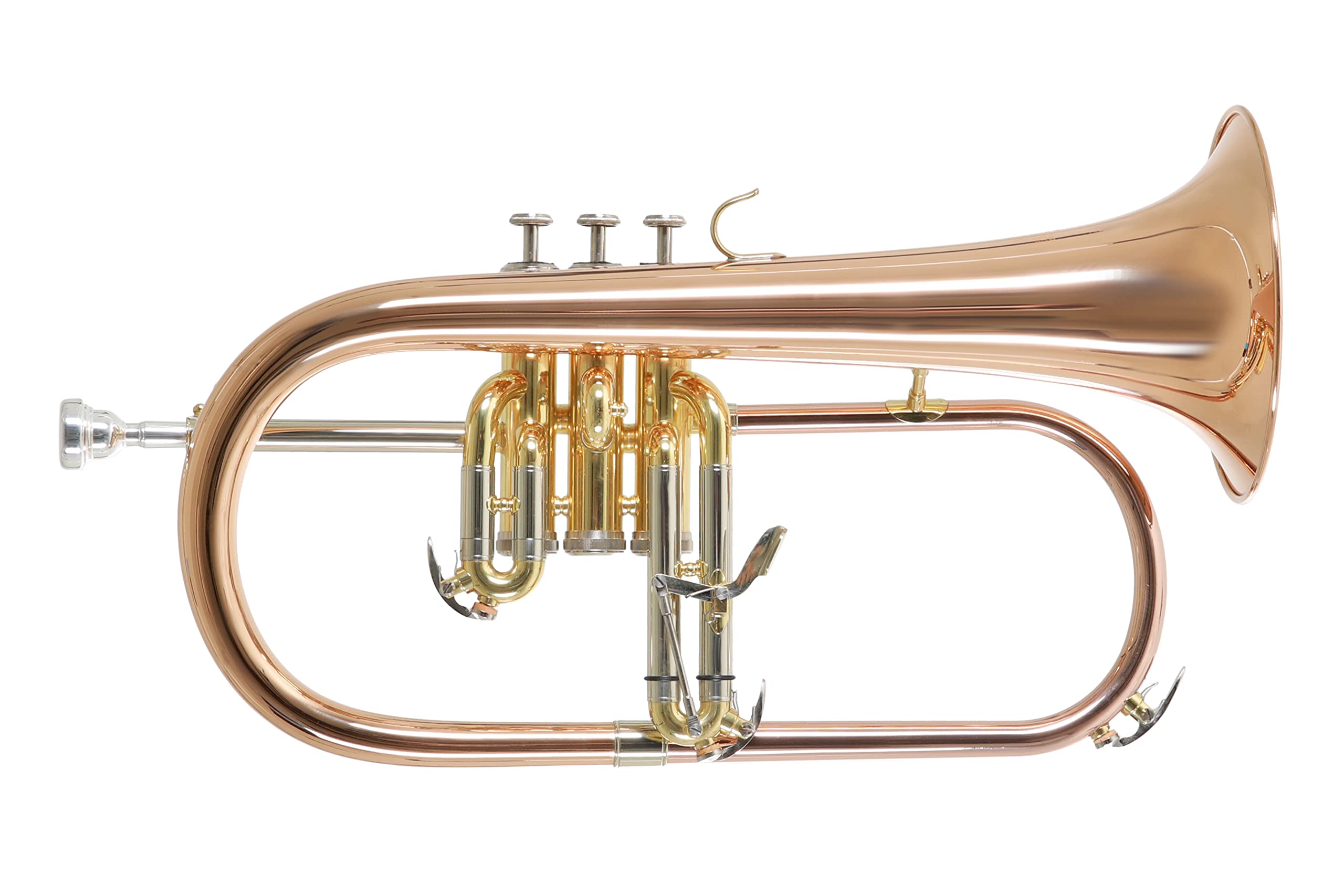 Roy Benson Bb Flügelhorn MOD.FH-302G Goldmessing Schall, inkl. Etui