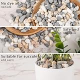 VGOODALL 900g Gravel Pebbles Mixed Colour for Plants Vases Aquariums view 3