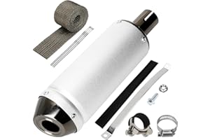 SHIQINHA 28mm Exhaust Muffler Silencer Compatible with 125cc 110cc 50cc 90cc Pit Dirt Bike CRF50 SSR Tao tao Coolster Apollo, 1.1" Universal Motorcycle Slip on Muffler for ATV Mini Bike Go Kart Parts