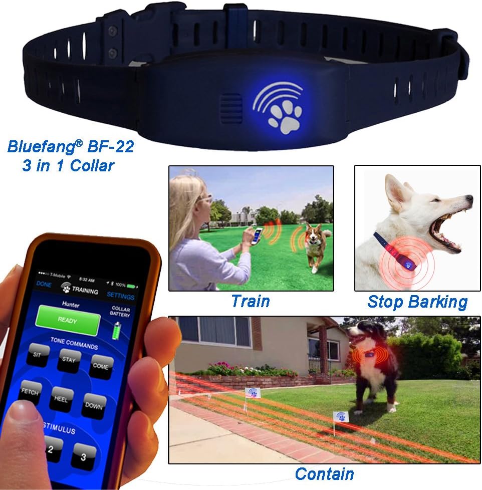 bluefang collar