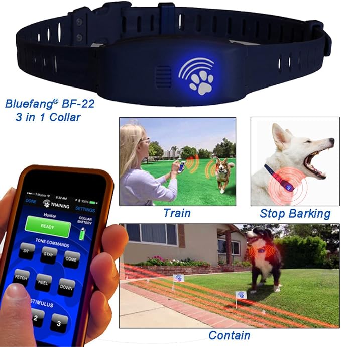 bluefang collar