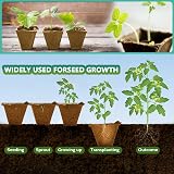 KAHEIGN 20x 12-Cell Biodegradable Seedling Trays 4cm Square Plant Starter Pots view 5