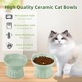 MeetoZ Ceramic Elevated Cat Bowls, 2 Wide Raised Food & Water Dishes (Green) view 6