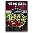 1 Pack Beet Microgreens Seeds for Planting and Growing - Plant Green Leafy Micro Vegetable Plants Indoors - Grow Your Own Mini Windowsill Garden - Non-GMO Heirloom - Survival Garden Seeds