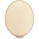 Premium Blank Ostrich Egg Shell for Crafts, Decoration, Painting - Blown Out &amp; Cleaned, Ready for Crafting Projects &amp; Decorating - Perfect for Display