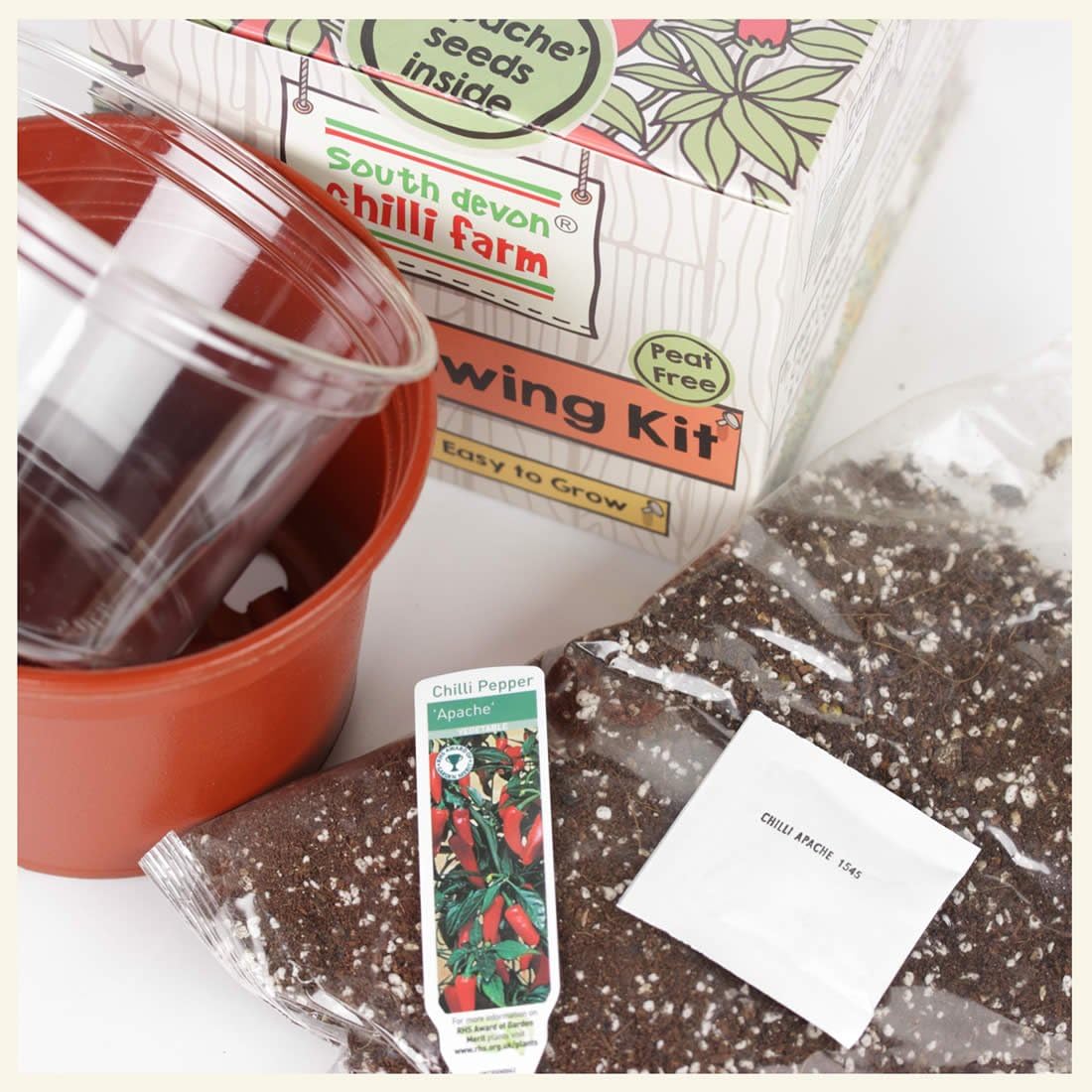 Chilli Growing Kit BigaMart
