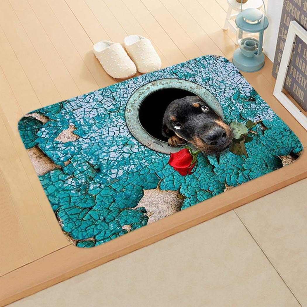 Junio1 Nuevo hogar, baño, Dormitorio, Felpudo, Piso, alfombras Antideslizantes Suaves Alfombras