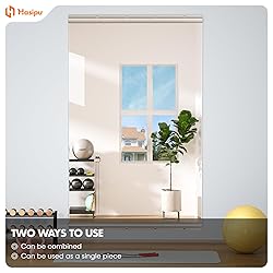 Hasipu Home Gym Mirror 45"x27"(Each)-2 PCS Large