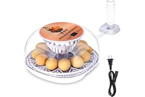 WYD2ANG Smart Chicken Incubators for Hatching Eggs with Automatic Turner Small Poultry Duck Quail 12 Egg Incubator Temperature Control Display Hatcher Machine, Fahrenheit