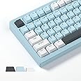 Womier Shine Through Keycaps, PBT Keycaps 60 65 75 100 Percent Cherry Profile Custom Key caps Set for Cherry Gateron MX Switches Mechanical Keyboard-Blue Creamy