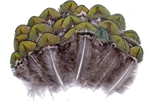 LWINGFLYER 100PCS 2"-3" Peacock Pheasant Plumage Feathers Gold Green Small Natural Feathers for Craft Dream Catchers