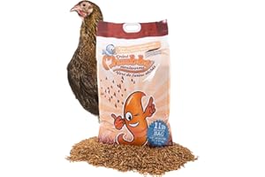 Chubby Dried Mealworms | 4.99 kg | High Protein Non GMO Insect Treat for Wild Birds, Chickens & Backyard Feeders