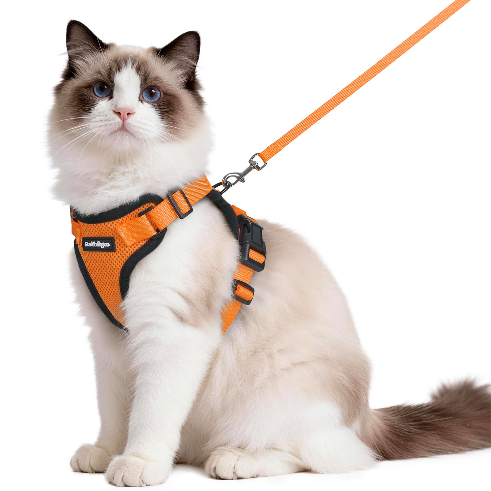 rabbitgoo Cat Harness and Lead Set, Adjustable Escape Proof Cat Lead for Walking, Reflective Kitten Harness Set, Soft and Comfortable for Medium to Large Cats, Orange, M