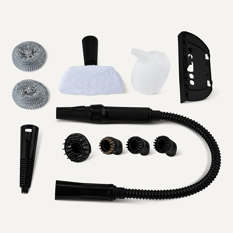 Nettoyeur à Vapeur Portatif pour la Maison avec 9 Accessoires, Puissant Jet de Vapeur de 1 000W, Réservoir de 250ml, Blanc
