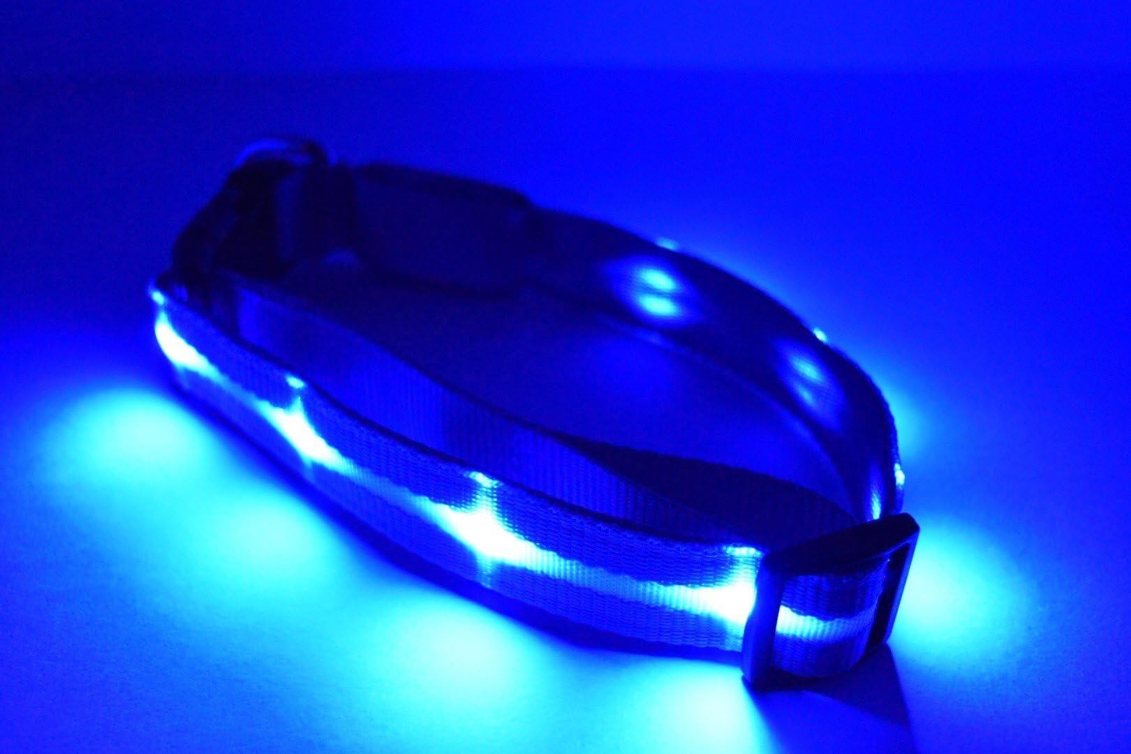LED Dog Collar - USB Rechargeable - Multiple Sizes & Colors - Improve Dog Visibility and Safety - Charges Via USB - Metal Loop for Leash - Multiple Settings