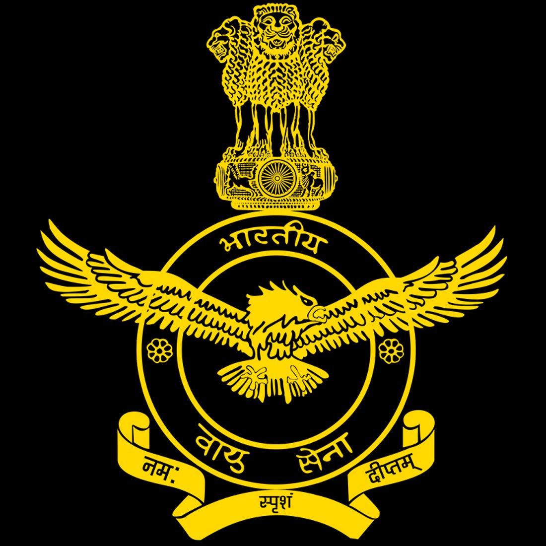 indian air force t shirt online
