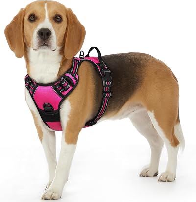 Eagloo Small Dog Harness Adjustable Front Clip No Pull Reflective Rose Red S