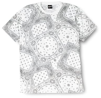 Amazon ペイズリー柄 Tシャツ 半袖 クルーネック メンズ レディース