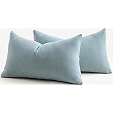 MANDIOO Pack of 2 Chenille Throw Pillow Covers Elegant Design Soft and Luxurious Decorative Cushion Covers Pillowcase Couch Sofa Bedroom Living Room Home Decor 12x20 Inch Light Blue