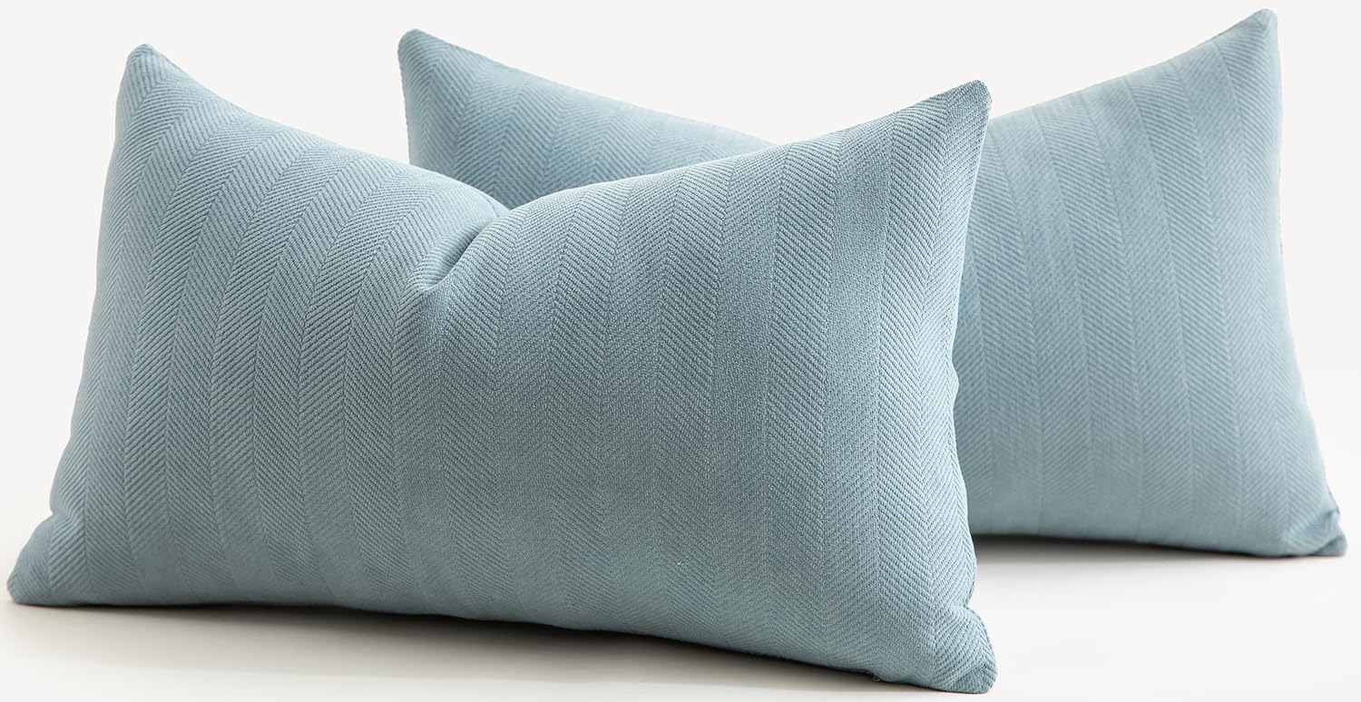 Mandioo Pack of 2 Chenille Cushion Covers Soft Comfortable Durable Throw Pillow Cases for Home Decor Sofa Couch Living Room Bedroom 12 x 20 Inch 30x50 cm Light Blue