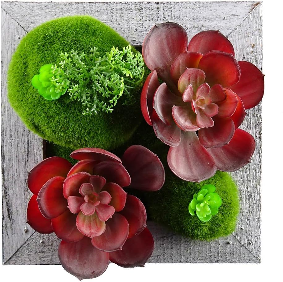 Kumii 3D Artificial Topiary Plants Wall Decor Succulent Plants with Wood Art Frame and Wall Hanging (Small Gray Frame Red Flower)