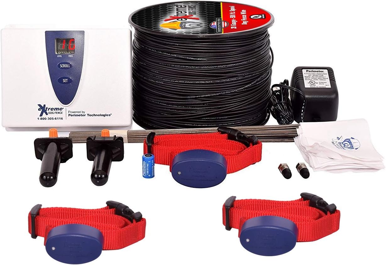 training a goldendoodle