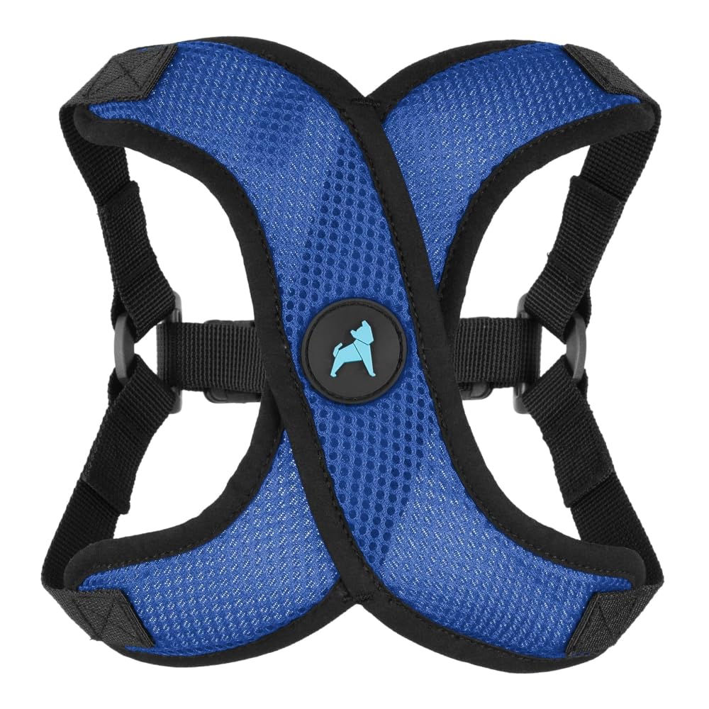 Photo 1 of Gooby Comfort X Step in Lite Dog Harness - Choke Free, Escape Free with Light Breathable Mesh - Step in Dog Harness for Small Dogs Only - Quick Release Buckle, Metal D-Rings - Blue, X-Large