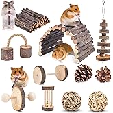 ERKOON 11 Pack Chinchillas Chew Toys, Toys Accessories for Teeth Care, Natural Apple Wood Ladder Bell Roller for Russian Hams
