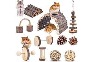 ERKOON 11 Pack Chinchillas Chew Toys, Toys Accessories for Teeth Care, Natural Apple Wood Ladder Bell Roller for Russian Hams