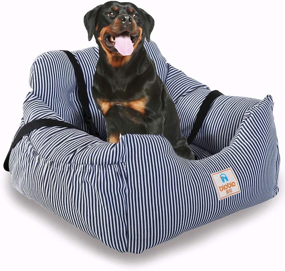 best dog car carrier