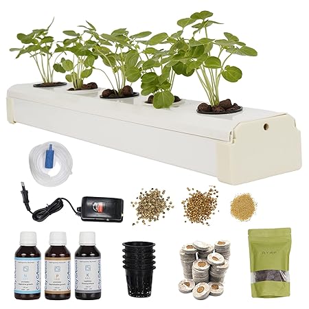 City Greens Hydroponics Kit for Home - DWC Hydroponic System - 5 Planter Set - Starter kit for Kids