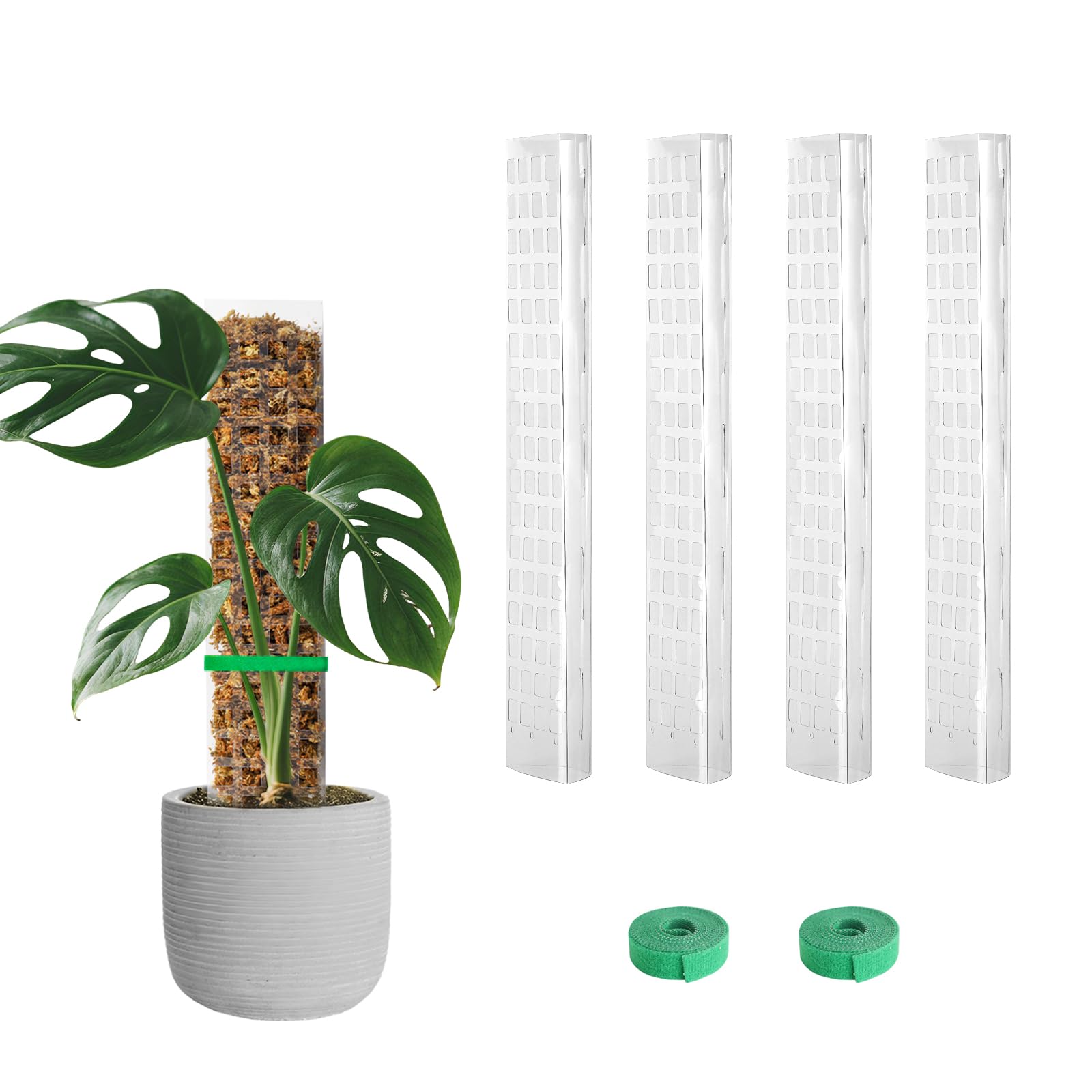 EOX 4 Pcs 15 Inch Plastic Moss Pole for Monstera, D Shaped Poles for ...