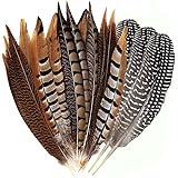 Flying Feathers Natural Pheasant Feathers 4 Style 15-20cm 12pcs Natural Feathers for DIY Craft Home Party Decorations FF03