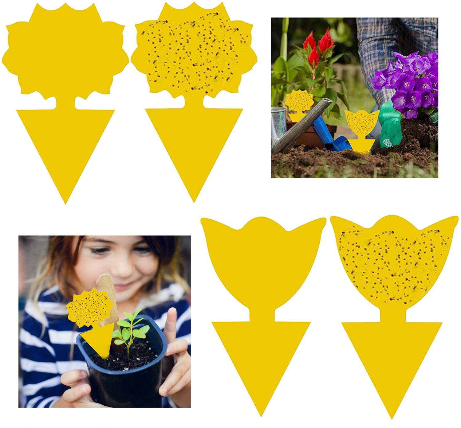 GeekerChip Fruit Fly Traps(50 PCS) Fly Traps,Plant Fly Traps,Yellow Sticky Fly Traps,Fly Paper Sticky Catcher,Sticky Gnat Trap,Non-Toxic and Eco-Friendly Suit For Multiple Insect