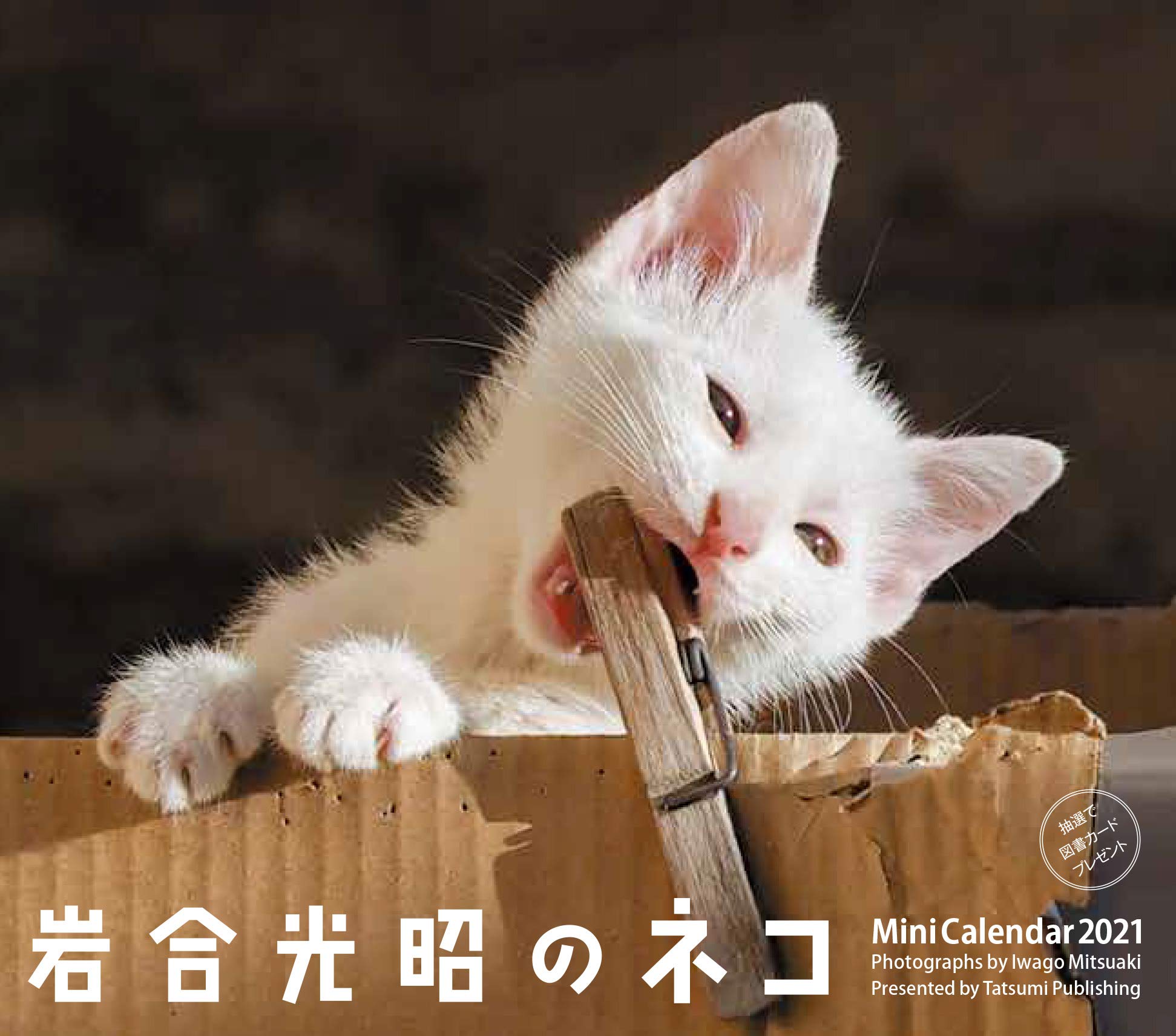Amazon Co Jp 21ミニカレンダー 岩合光昭のネコ カレンダー 岩合 光昭 本