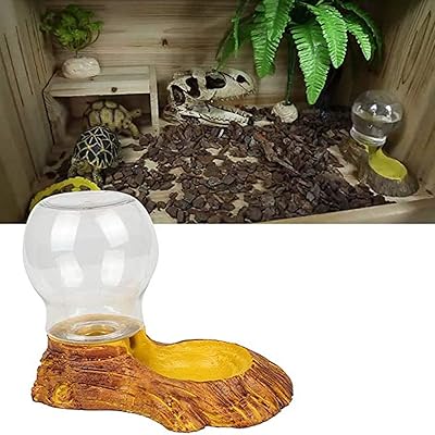 Ailinda Reptile Water Dispenser Tortoise Turtle Ghana Ubuy
