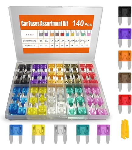 Amazon.com: GM 19119329 FUSE ASM,15 A M-CASE GREY : Automotive