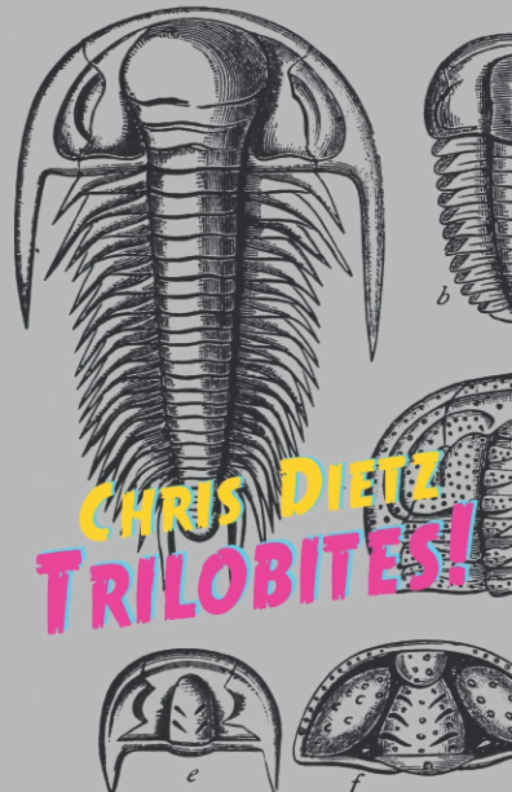 Cover of Trilobites!