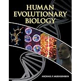 Human Evolutionary Biology