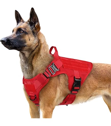 Always Prepared © Pro K9 Harnais pour chien - Anti-traction - Harnais