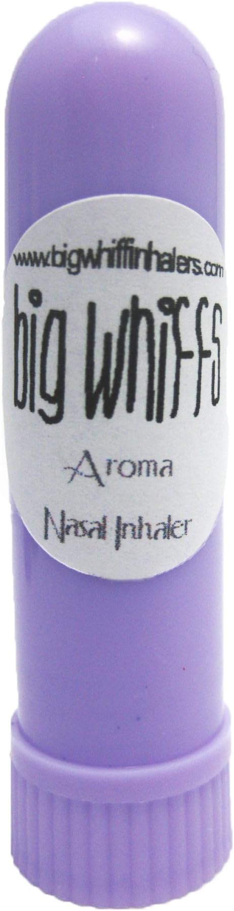 Aromatherapy Essential Oil Blank Nasal Inhaler Sticks - Plastic Tubes Tools for Aroma Oils (1, Light Purple)