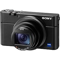 ソニー SONY コンパクトデジタルカメラ サイバーショット Cyber-shot DSC-RX100M6