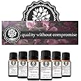 Nature’s Oil Floral Set of 6 Premium Grade Fragrance Oils - Lavender, Gardenia, Rose, Jasmine, Honeysuckle, Lilac & Lillies - 10ml