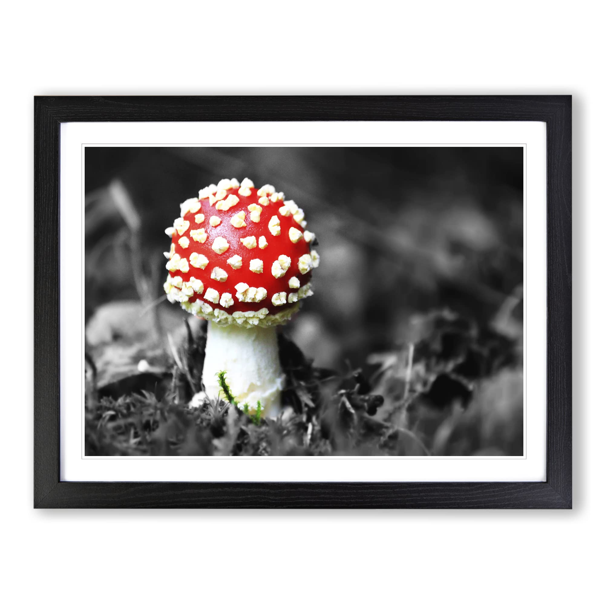 Landscape Forest Mushroom Modern Framed Print | A4 Black Framed Wall Art | Ready to Hang | Modern Landscape Picture | Living Room Bedroom Lounge Office