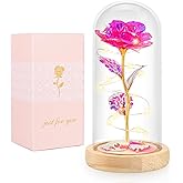 Beferr Valentines Day Rose Gifts for Her, Galaxy Glass Rose Forever Preserved Flowers for Delivery Prime in Glass Dome, Birthday Valentine's Day Gifts for Women Mom Girlfriend Wife Daughter, Pink
