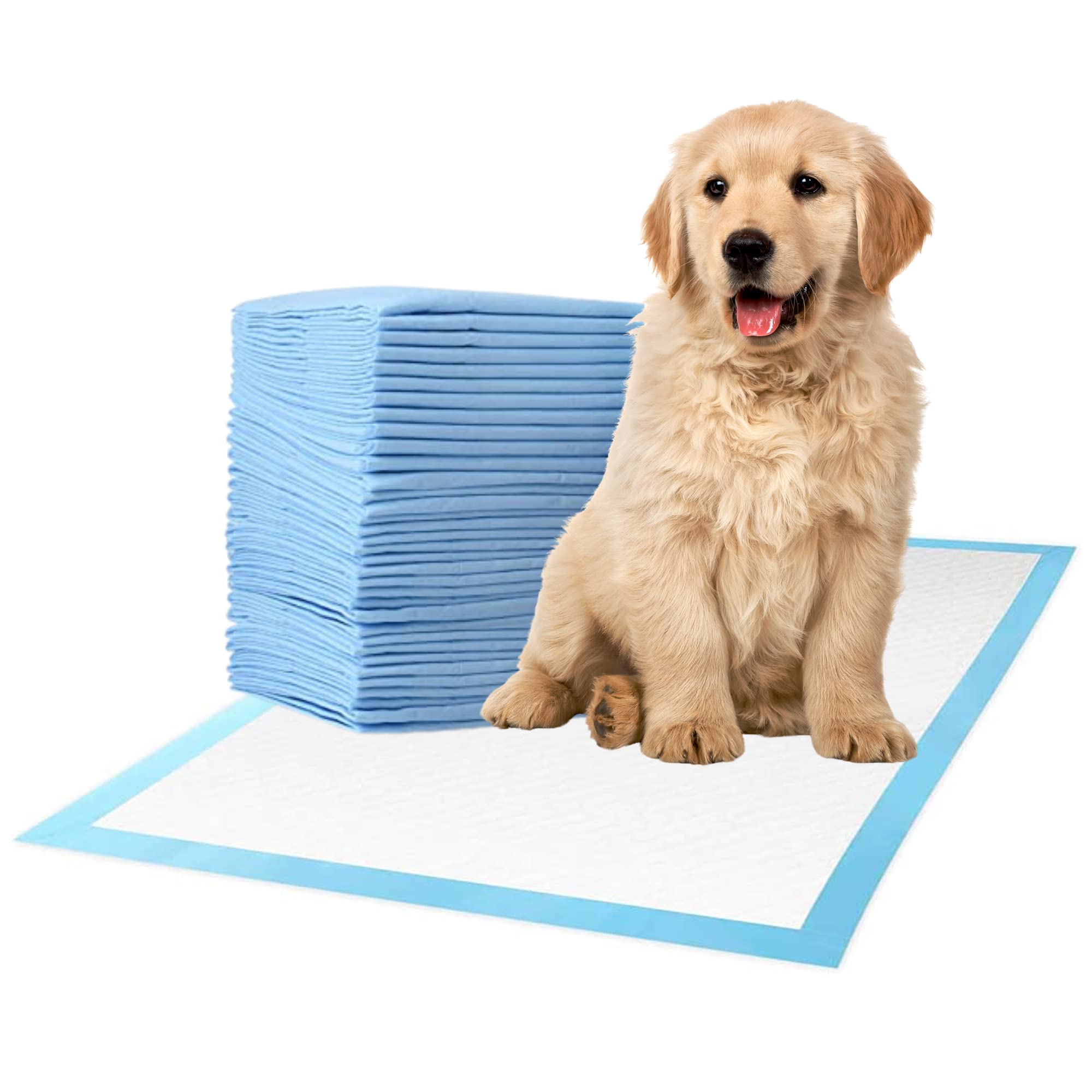 Zaroo Puppy Pads - Pack of 50 Large Size (60 x 60 cm) Puppy Training Pads - Odor Eliminating Super Absorbent Leak proof pads - Best Simple Solution Quick Dry Dog Pads (50)