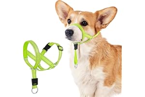 DOMIGLOW No-Pull Dog Headcollar - Reflective Halter Collar for Dogs, Padded Head Collar to Stop Heavy Pulling, Anti-Pull Muzzle Leash (Green, Small)