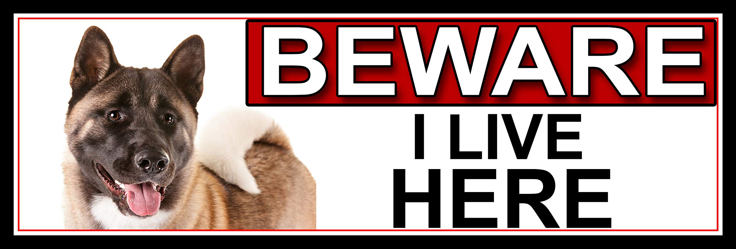 SHAWPRINT Akita BEWARE I LIVE HERE METAL GATE SIGN 266mm x 87m. (423H2)